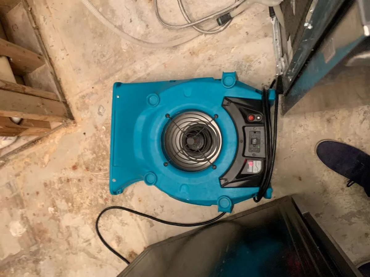 Air mover drying equipment for Mold Remediation & Removal in Olathe